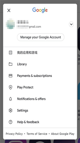 GooglePlay谷歌商店截图1