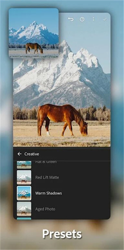 Lightroom安卓正版截图1