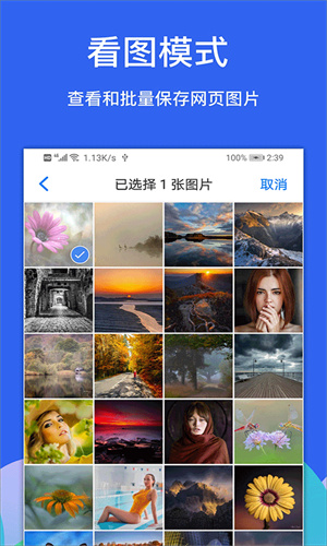 Alook浏览器旧版截图3