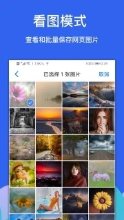 alook浏览器安卓最新版截图3