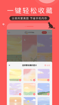 堆糖2024最新版截图4