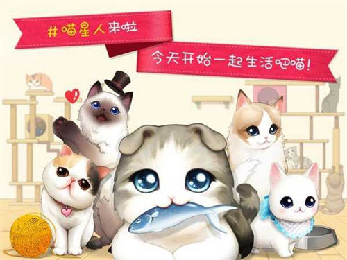 猫猫咖啡屋截图2