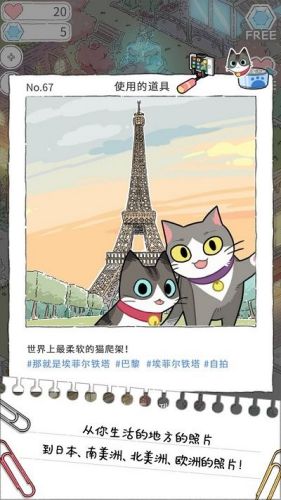 猫友圈猫咪的旅行截图1