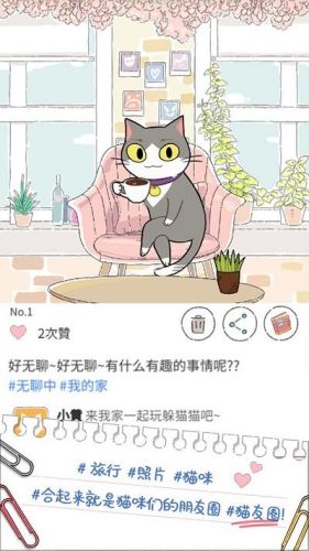 猫友圈猫咪的旅行截图2