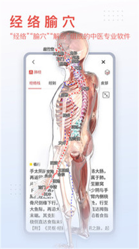 3dbody解剖截图1