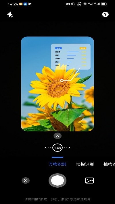 ai识花截图4