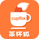 茶杯狐cupfoxapp