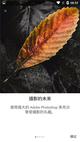 Lightroom免费版截图2