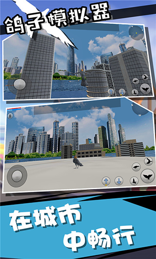 鸽子模拟器截图2