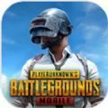 PUBG手游最新版