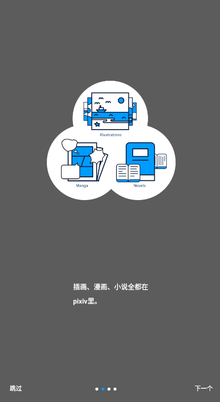 pixiv限制解除截图1