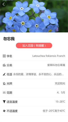 东篱花草截图2