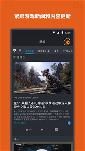 steam截图5