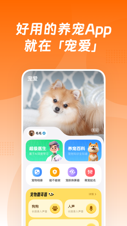 宠爱app截图3