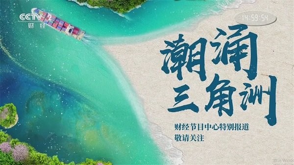 秒看电视tv版截图2