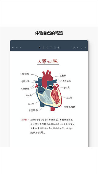 Noteshelf截图3