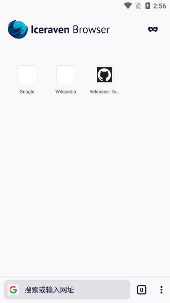 Iceraven浏览器截图3