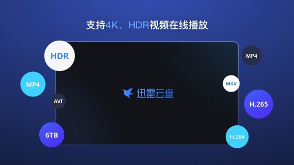 迅雷云盘tv版截图2