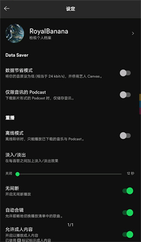 声破天spotify截图4