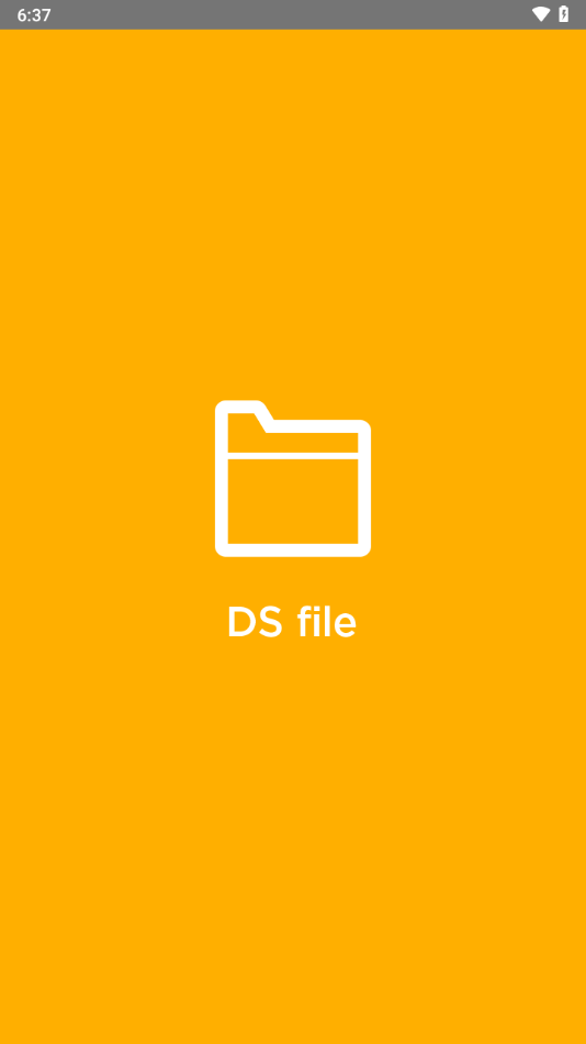 DS file截图1