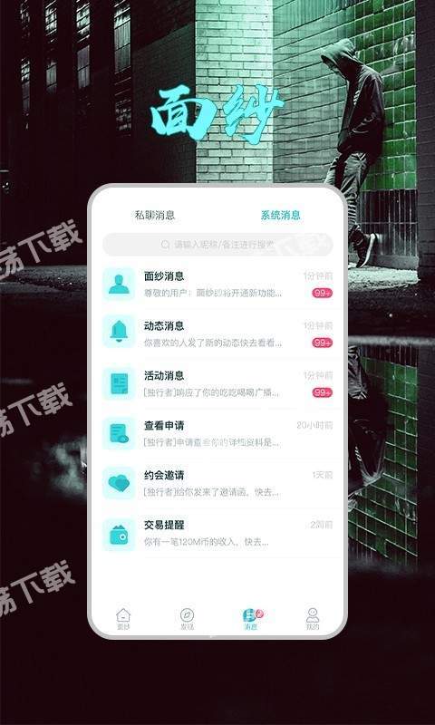 面纱截图2