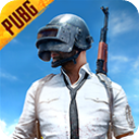 pubg体验服安装包