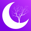 wy9tv