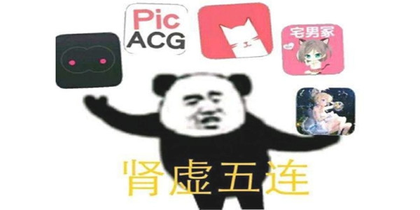 肾虚五连