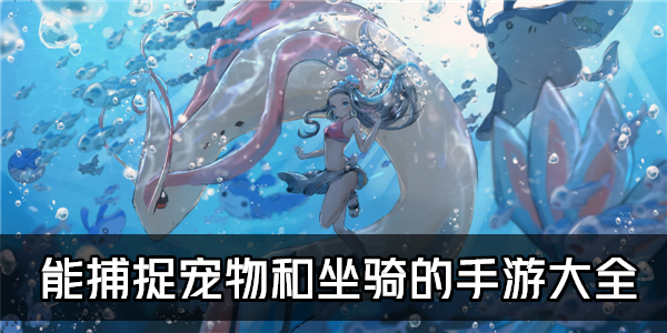 捉宠物坐骑