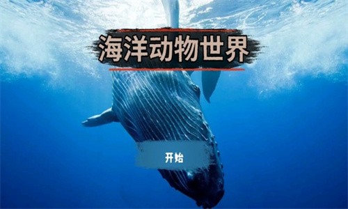 海洋动物世界截图2