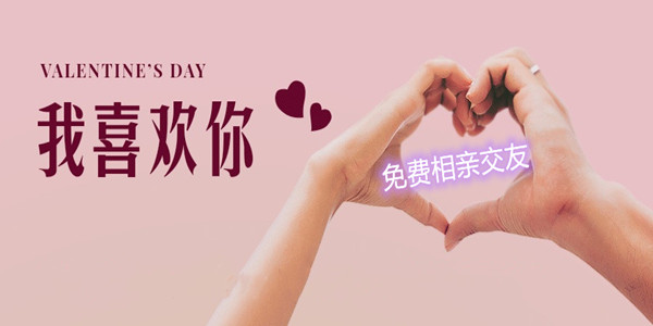 免费相亲交友