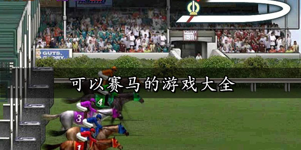 赛马