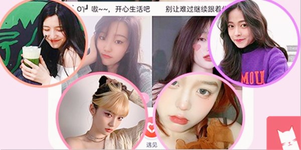 猫咪