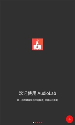 Audiolab苹果版截图4