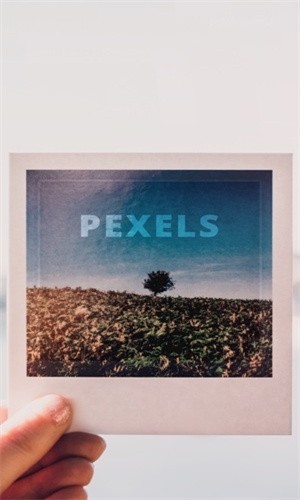Pexels素材截图3
