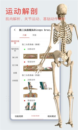 3DBody解剖截图5