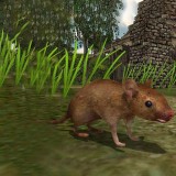 真实老鼠生存模拟器